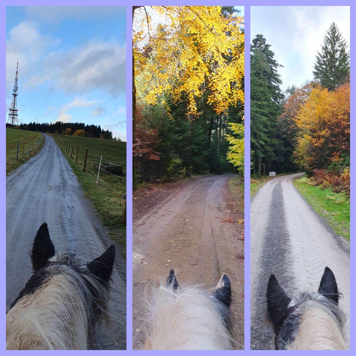 2023 11 November 602